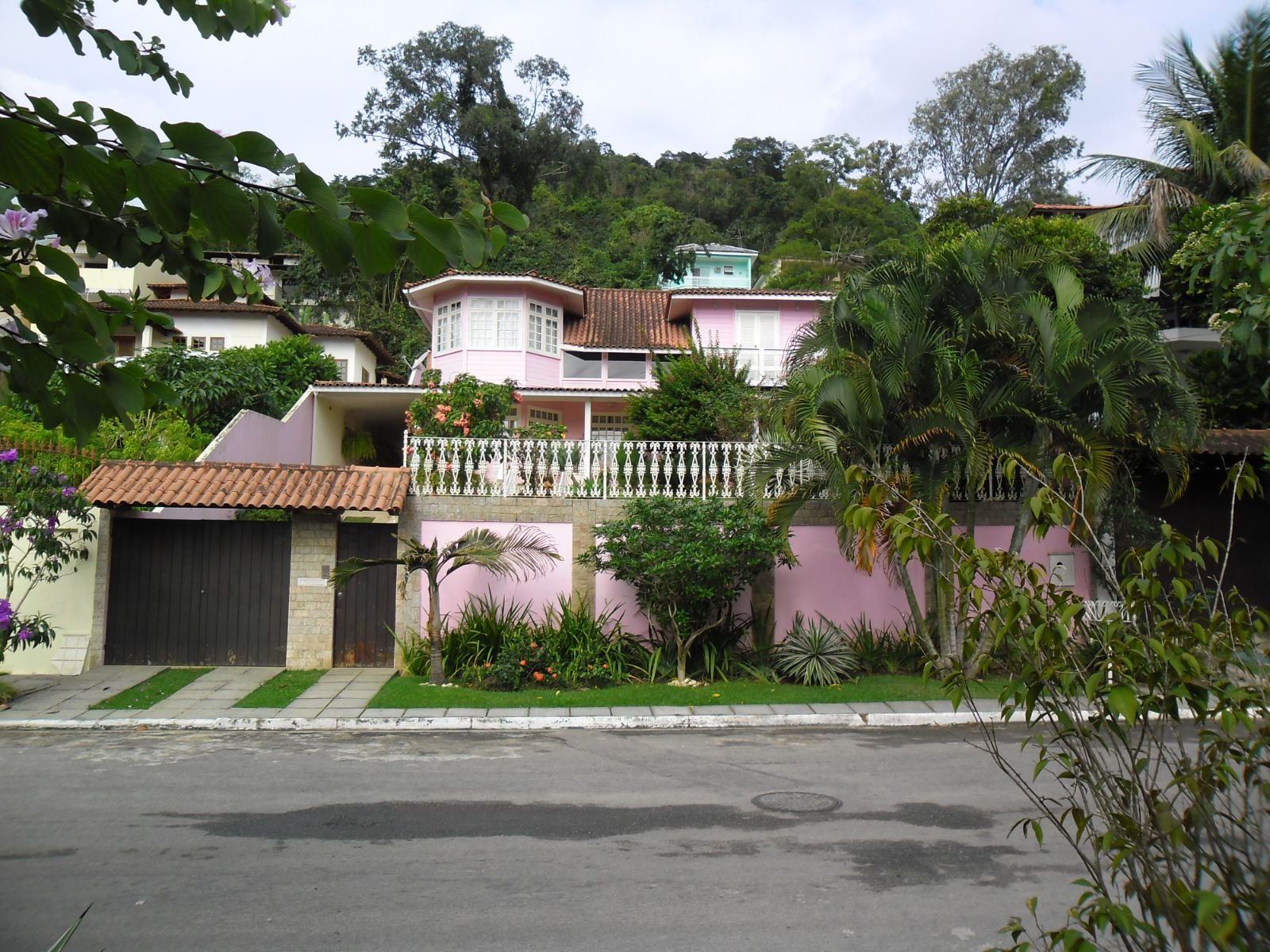Bosque dos esquilos