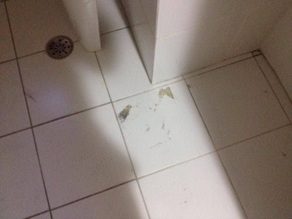 foto 15