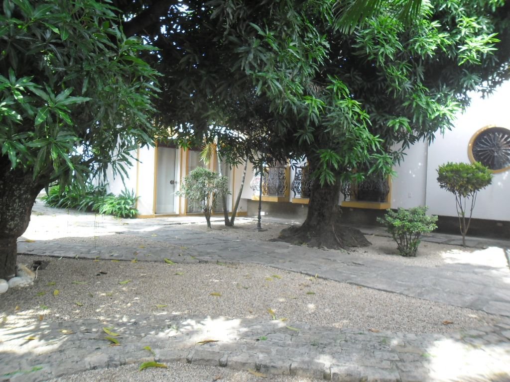 foto 19
